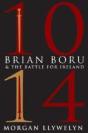 1014: Brian Boru & The Battle For Ireland - Preview