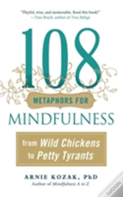 Capa do artigo 108 Metaphors For Mindfulness