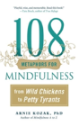 108 Metaphors For Mindfulness - Preview
