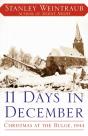 11 Days In December - Preview