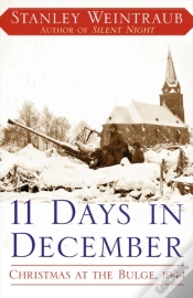 Capa do artigo 11 Days In December