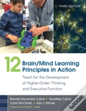 Capa do artigo 12 Brain/Mind Learning Principles In Action