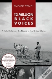 Capa do artigo 12 Million Black Voices