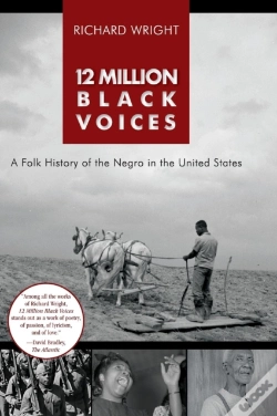 Capa do artigo 12 Million Black Voices