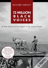 12 Million Black Voices