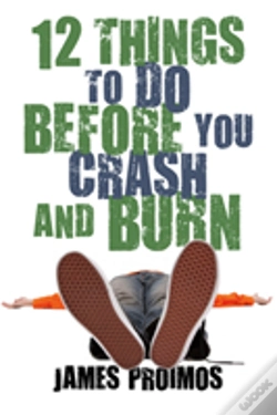 Capa do artigo 12 Things To Do Before You Crash And Burn