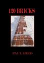 120 Bricks - Preview