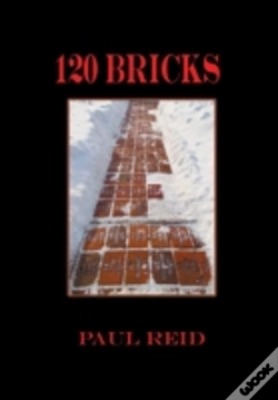Capa do artigo 120 Bricks