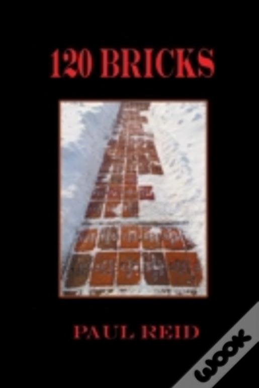 120 Bricks