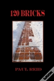 Capa do artigo 120 Bricks