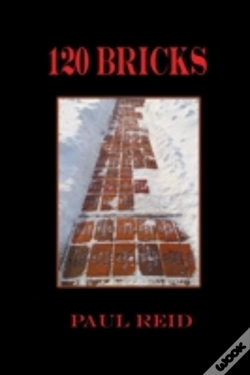 Capa do artigo 120 Bricks