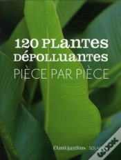 Capa do artigo 120 Plantes Depolluantes