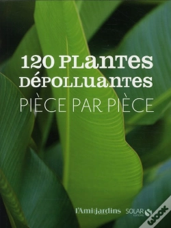 Capa do artigo 120 Plantes Depolluantes