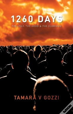 Capa do artigo 1260 Days