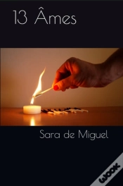 Capa do artigo 13 Âmes