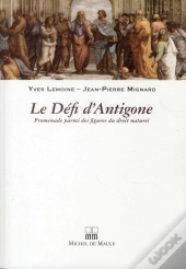 13 Promenades Sur Les Figures Du Droit