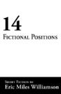 14 Fictional Positions - Preview
