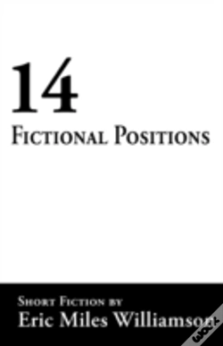 Capa do artigo 14 Fictional Positions