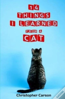 Capa do artigo 14 Things I Learned From A Cat