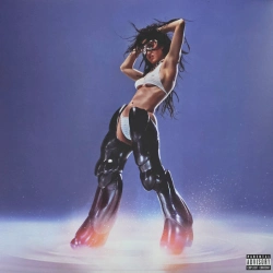 Capa do artigo 143 - Vinil