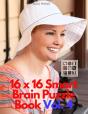 16 X 16 Smart Brain Puzzle Book Vol. 4 - Preview