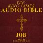 18. Job - Preview