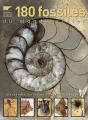 180 Fossiles Du Monde Entier - Preview