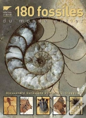 180 Fossiles Du Monde Entier