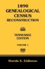 1890 Genealogical Census Reconstruction: - Preview