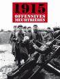 1915 ; Les Offensives Meurtrières - Preview