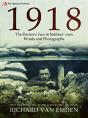 1918: The Final Year Of The Great War To Armistice - Preview