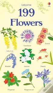 Capa do artigo 199 Flowers