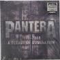 1990-2000: A Decade Of Domination - Vinil - Preview