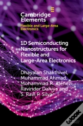 1d Semiconducting Nanostructures For Flexible And Large-Area Electronics