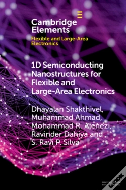 Capa do artigo 1d Semiconducting Nanostructures For Flexible And Large-Area Electronics
