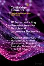 1d Semiconducting Nanostructures For Flexible And Large-Area Electronics - Preview