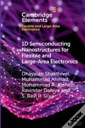 1d Semiconducting Nanostructures For Flexible And Large-Area Electronics