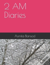 Capa do artigo 2 Am Diaries