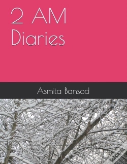 Capa do artigo 2 Am Diaries