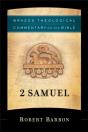 2 Samuel (Brazos Theological Commentary On The Bible) - Preview