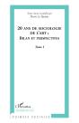 20 Ans De Sociologie De L'Art Tome 1 ; Bilan Et Perspectives - Preview