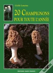 Capa do artigo 20 Champignons Pour Toute L