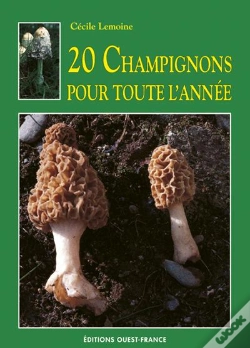 Capa do artigo 20 Champignons Pour Toute L'Année