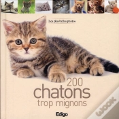 Capa do artigo 200 Chatons Trop Mignons