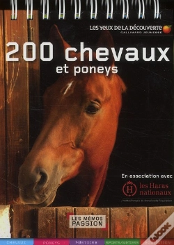 Capa do artigo 200 Chevaux