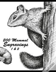 200 Mammal Engravings 1 & 2