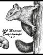 200 Mammal Engravings 1 & 2 - Preview