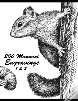 Capa do artigo 200 Mammal Engravings 1 & 2
