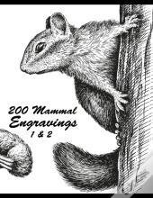 200 Mammal Engravings 1 & 2