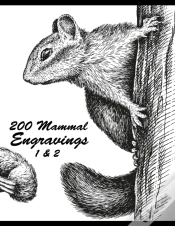 Capa do artigo 200 Mammal Engravings 1 & 2